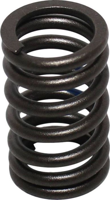 Valve Spring - XY1100, Chironex 1000cc, 1100cc