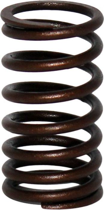 Valve Spring - Exhaust, CF Moto, Hammerhead, Baja, 172MM, 250cc