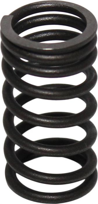 Valve Spring - Intake, CF Moto, Hammerhead, Baja, 172MM, 250cc