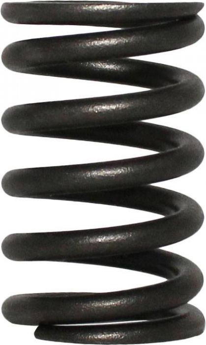 Valve Spring - UTV, Odes, 800cc