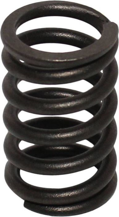 Valve Spring - UTV, Odes, 800cc