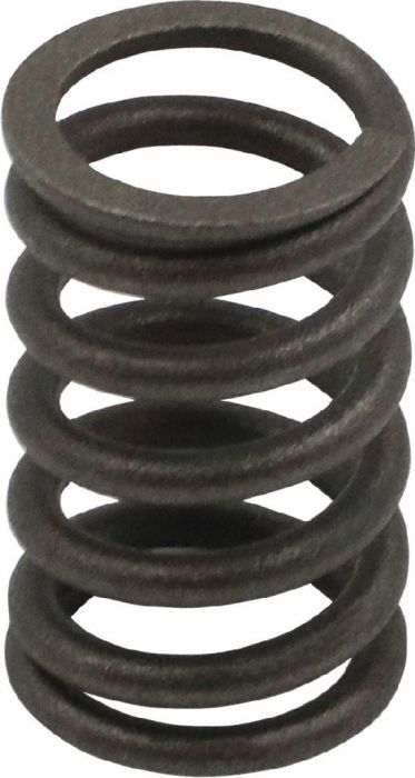 Valve Spring - 800cc , Hisun