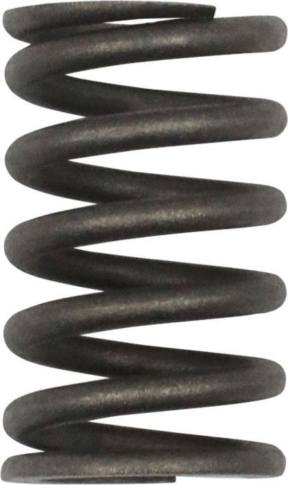 Valve Spring - 800cc , Hisun