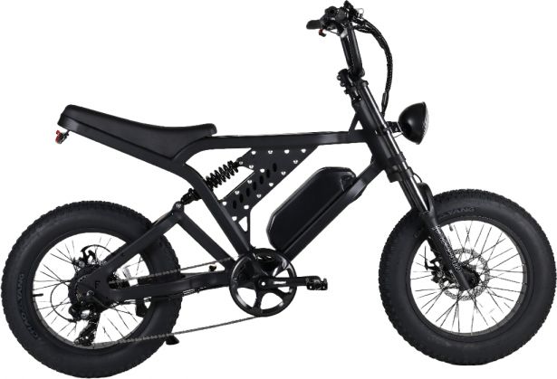 SHOK Nomad - Off-Road Fat Tire Ebike, 52V, 750W, 15.6Ah, 811Wh
