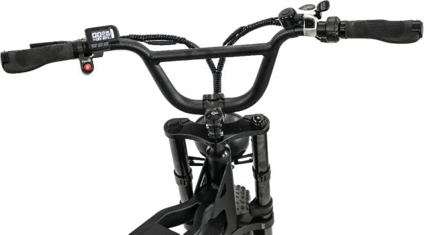 SHOK Nomad - Off-Road Fat Tire Ebike, 52V, 750W, 15.6Ah, 811Wh