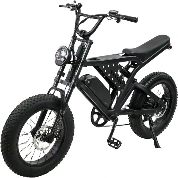 SHOK Nomad - Off-Road Fat Tire Ebike, 52V, 750W, 15.6Ah, 811Wh